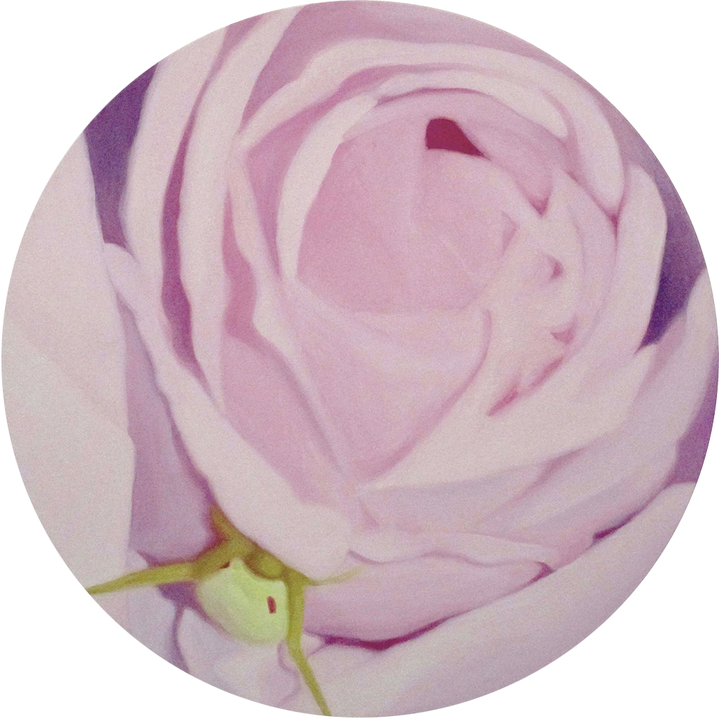 Rose and yellow spider