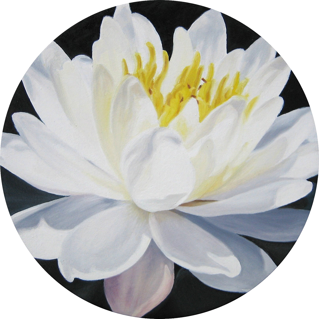 Small black water lily