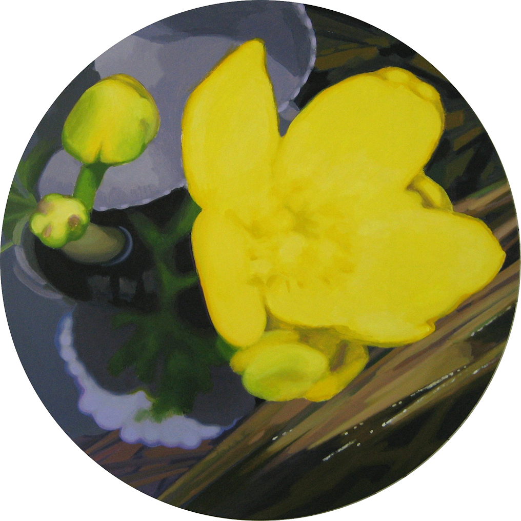 Spring: marsh marigold