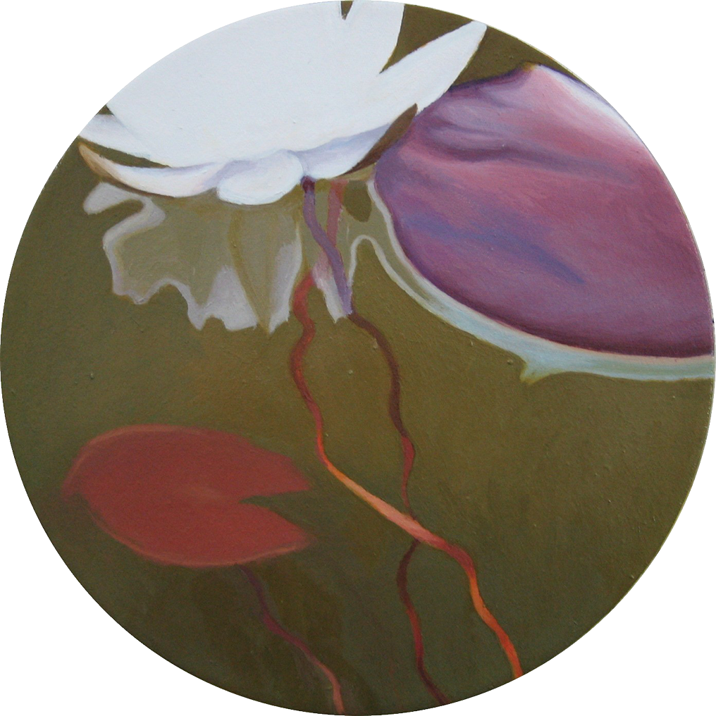 Stems study